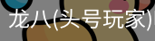 龙八头号玩家